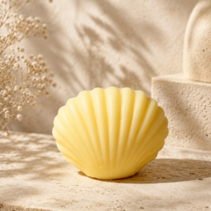 Seashell wax melt